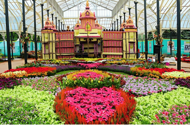 Untitled design (50)