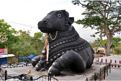 Untitled design (51)